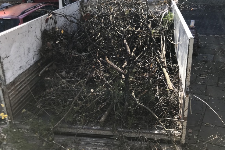 Wywóz odpadów zielonych gałęzi liści Kraków Prokocim