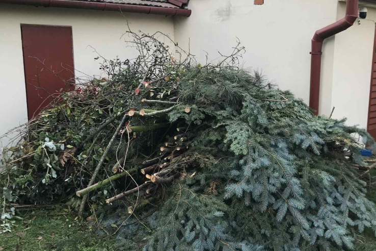 Wywóz gałęzi wraz z załadunkiem Kraków Bieżanów