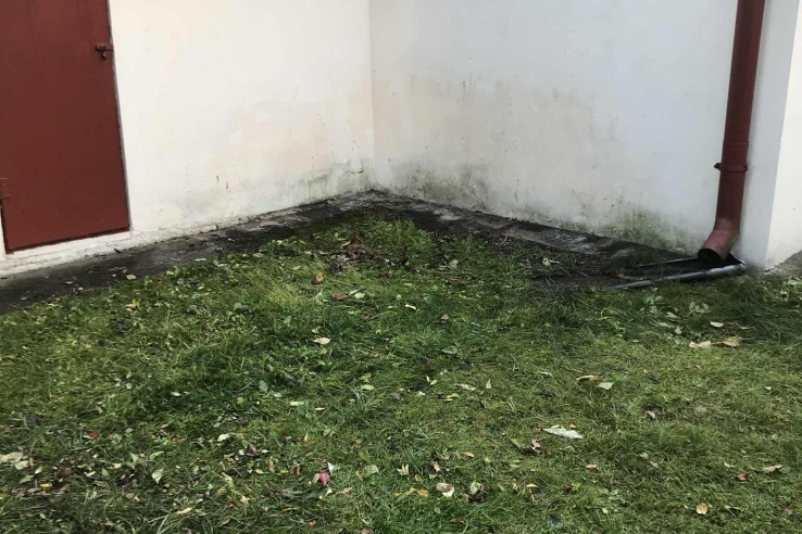 Wywóz gałęzi wraz z załadunkiem Kraków Bieżanów zdjęcie po załadunku